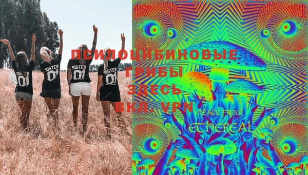мдпв Абаза